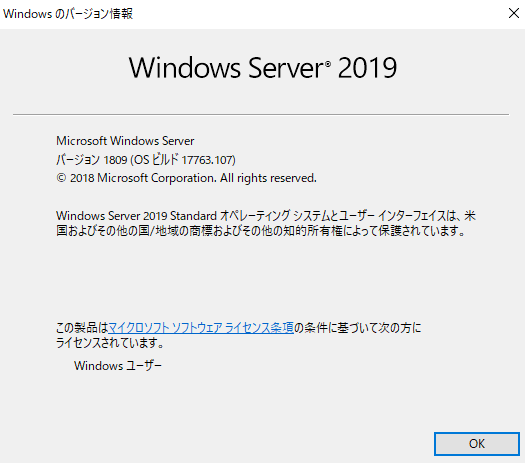WindowsサーバーOS Windows Server 2019 のインストール手順 - レム ...